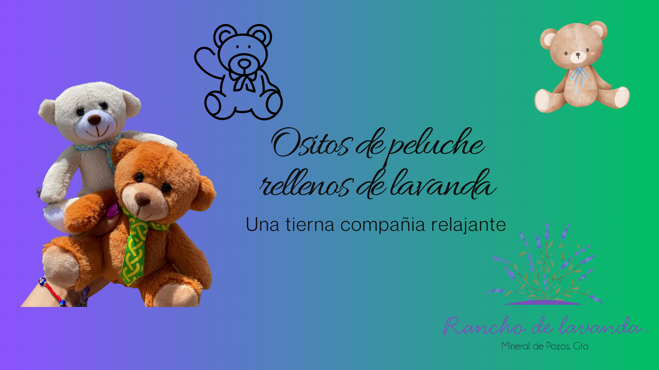 Lavender bears